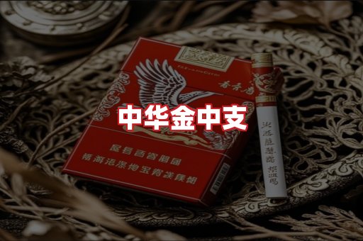 中华金中支