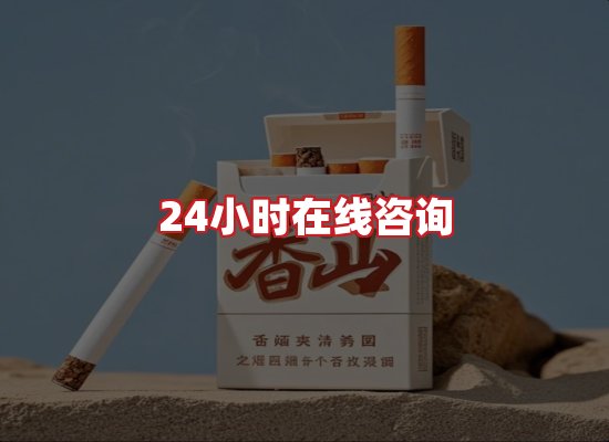 专业团队